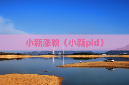 小新涨粉（小新pid）