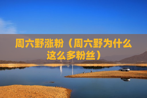 周六野涨粉（周六野为什么这么多粉丝）
