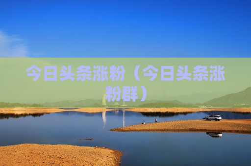 今日头条涨粉（今日头条涨粉群）